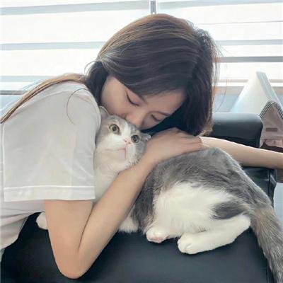 傲骨贤妻第七季