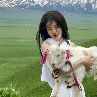 史酷比与美食幽灵